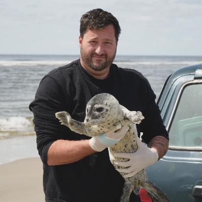 Heuler gesichtet! Und nun? Der Seehundjäger erzählt. Heuler gesichtet! Und nun? Der Seehundjäger erzählt.