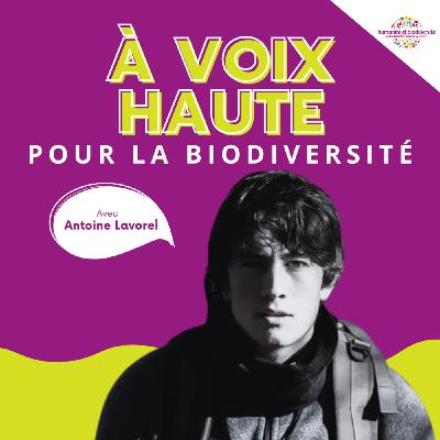Antoine Lavorel : “Montrer ce qui reste de beauté à préserver” Antoine Lavorel : “Montrer ce qui reste de beauté à préserver”
