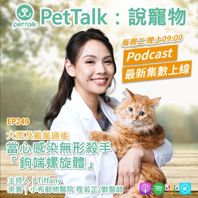 EP249｜大雨及颱風過後，當心感染無形殺手「鉤端螺旋體」 feat. 程若芷 獸醫師
