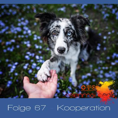 Folge 67 - Kooperationen