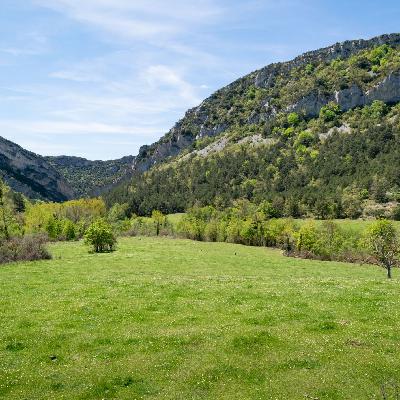 Caminantes - Mundo Obarenes - 11/12/24 Caminantes - Mundo Obarenes - 11/12/24