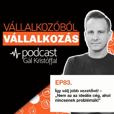 83. Így válj jobb vezetővé! – „Nem az az ideális cég, ahol nincsenek problémák!” 83. Így válj jobb vezetővé! – „Nem az az ideális cég, ahol nincsenek problémák!”
