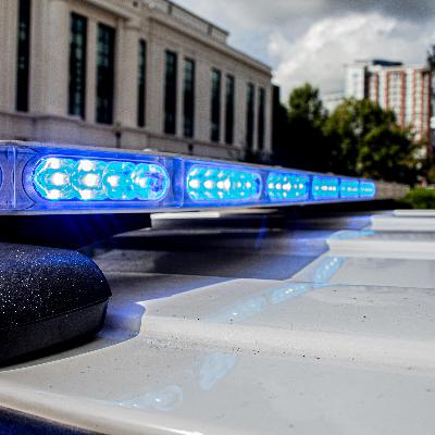 The Reality of the Bottom Line