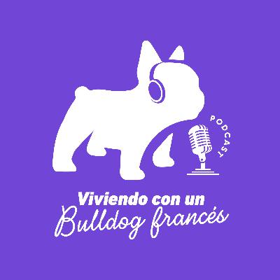 Enfermedades del Bulldog Francés 🐷
