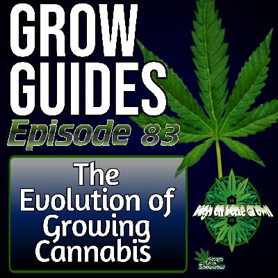The Evolution of Cannabis Growing – From HID Rooms to Living Soil & The Future of Cultivation | Grow Guides Ep. 83