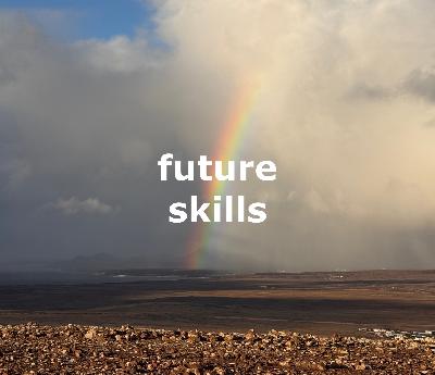 SF214 Future Skills - Sechs Felder
