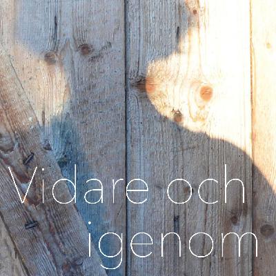 5 "Vidare och igenom"