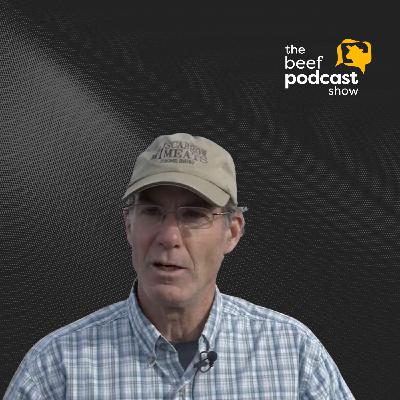 Don Scarrow: Potato Waste for Finishing Cattle | Ep. 163