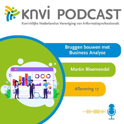 Bruggen bouwen met Business Analyse door Martin Bloemendal