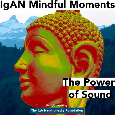 IgAN Mindful Moments — Guided Sound Meditation Session IgAN Mindful Moments — Guided Sound Meditation Session