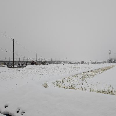 2024年12月16日 トンネルを抜けるとそこは雪国であった