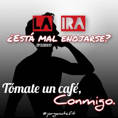 17. La IRA, ¿Está mal enojarse?
