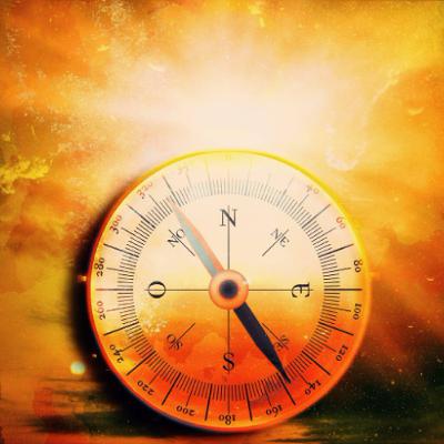 The Pursuit of Meaning (Rabbi Sacks on Vayikra, Covenant & Conversation)