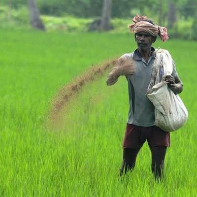 Farmer and a parrot| Tamil bedtime stories