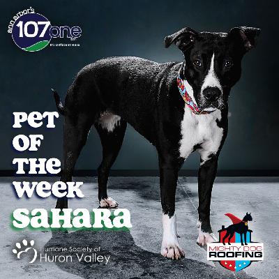a2VV: HSHV Pet of the Week 12/18/25
