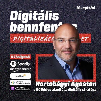 "Kell egy pandémia, kell egy pofon a világnak, ami eljuttat oda, hogy végre felhasználd azt, amit már más kitalált." | Beszélgetés Hortobágyi Ágostonnal, a DOQdrive alapítójával