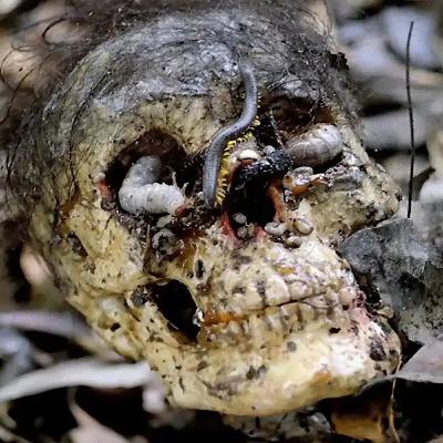 #51 - Cannibal Holocaust feat. Abbabox