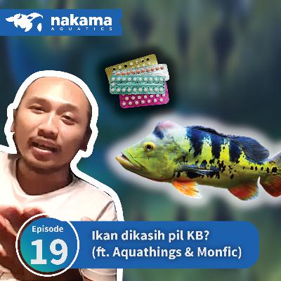 Eps 19 : "Ikan dikasih pil KB?" (ft. Aquathings & Monfic) Eps 19 : "Ikan dikasih pil KB?" (ft. Aquathings & Monfic)