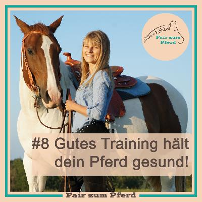 #8 Gutes Training hält dein Pferd gesund!