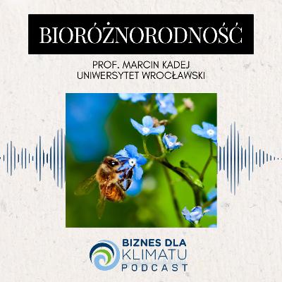 #35 prof. Marcin Kadej: Zależymy od bioróżnorodności, dlatego powinna nas ona obchodzić