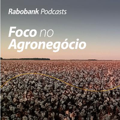 Olho no mercado I Perspectivas da pluma para 2024/25