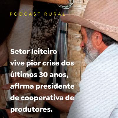Setor leiteiro vive pior crise dos últimos 30 anos, afirma presidente de cooperativa de produtores.