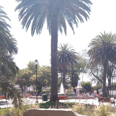 003 - Corta y precisa, así anda la cosa 003 - Corta y precisa, así anda la cosa