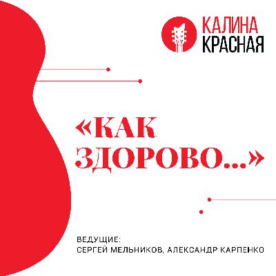 Никита Высоцкий