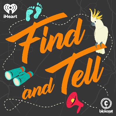 Don't Miss on Find and Tell: From Plumbing Store To The Emmy's