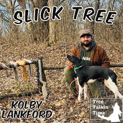 214. Slick Tree 214. Slick Tree