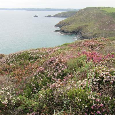 Waves from a low cliff, Burnock's Cove Waves from a low cliff, Burnock's Cove