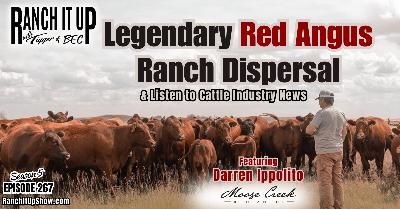 Legendary Red Angus Ranch Disperses & Cattle Industry News Legendary Red Angus Ranch Disperses & Cattle Industry News