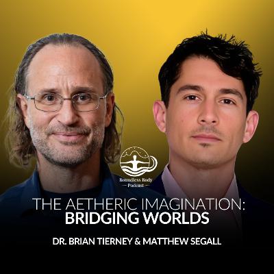 The Aetheric Imagination: Bridging Worlds with Matthew David Segall