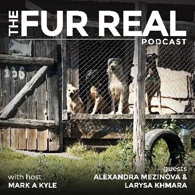 "UKRAINE'S ANIMAL SHELTER SIRIUS" saving animals from war