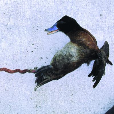 episode 11 - wolfenstein 2: the new colossus