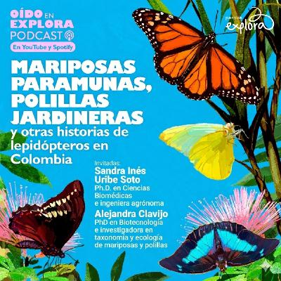 Mariposas paramunas, polillas jardineras y otras historias de lepidópteros en Colombia Mariposas paramunas, polillas jardineras y otras historias de lepidópteros en Colombia