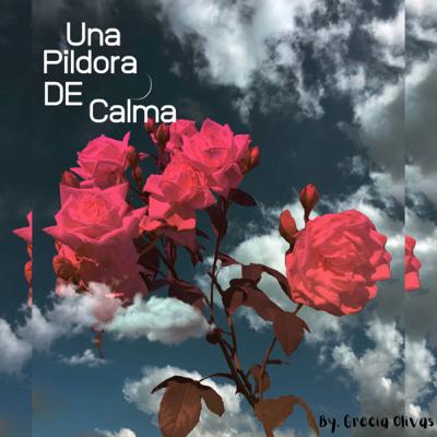 Hipopresivos 2 febrero 2023