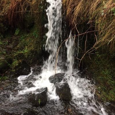 How has it been 4 years?! With Vivienne Rickman.