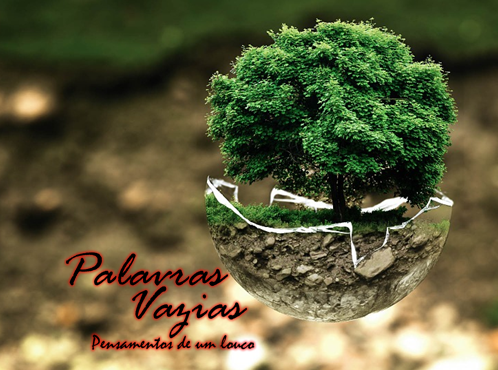 Palavras Vazias - Notas Ecoadas episode artwork