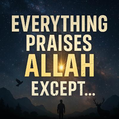 Everything Praises Allah Except You! | Mufti Menk