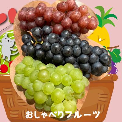 #45 北海道のブドウ、スチューベン、ナイアガラ、旅路、食べ比べ