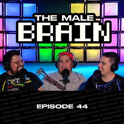 The Male Brain The Male Brain