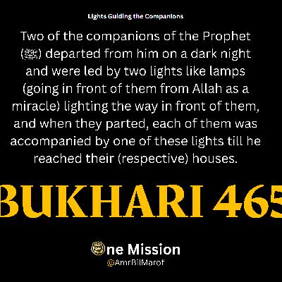 Lights Guiding the Companions