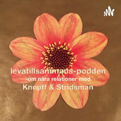 I Avsnitt 118 fördjupar vi oss i "Min partner oroar sig för mycket i onödan”. Det är t ex ett påstående som 48% av männen och 27% kvinnorna helt eller delvis, instämmer i. Vad står det för? I Avsnitt 118 fördjupar vi oss i "Min partner oroar sig för mycket i onödan”. Det är t ex ett påstående som 48% av männen och 27% kvinnorna helt eller delvis, instämmer i. Vad står det för?