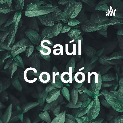Parcial Saúl Cordón