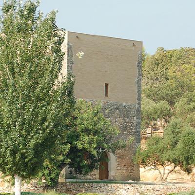 15 - El de la Torre d'en Dolça i el Green Birding