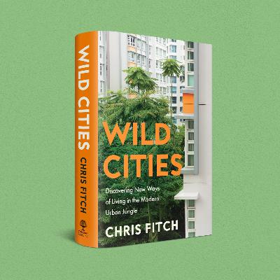 Wild Cities: Exclusive first listen 🎧