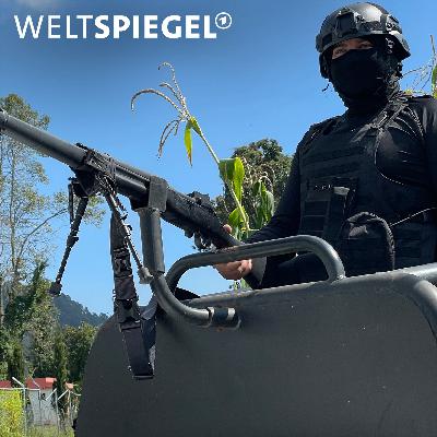 Das Ameisenprinzip: Wie Waffen aus den USA nach Mexiko kommen