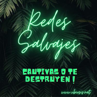 Como las redes sociales son una fuente de trafico a tus audios y videos