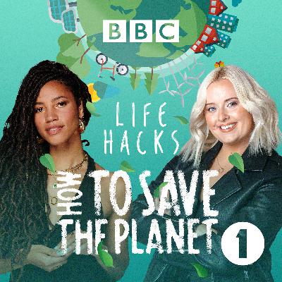 How to reduce our digital carbon footprint How to reduce our digital carbon footprint